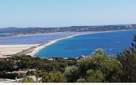 Hyeres Mont Des Oiseaux Vue Mer Villa 180 M2 Piscine Spa
